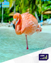 Aruba eSIM Plans - Roamight